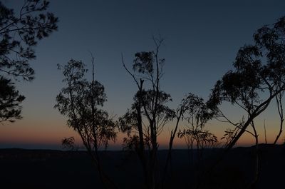 Silhouette trees by sea against sky at sunset