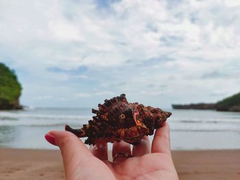 Midsection of person holding leaf at beach against sky