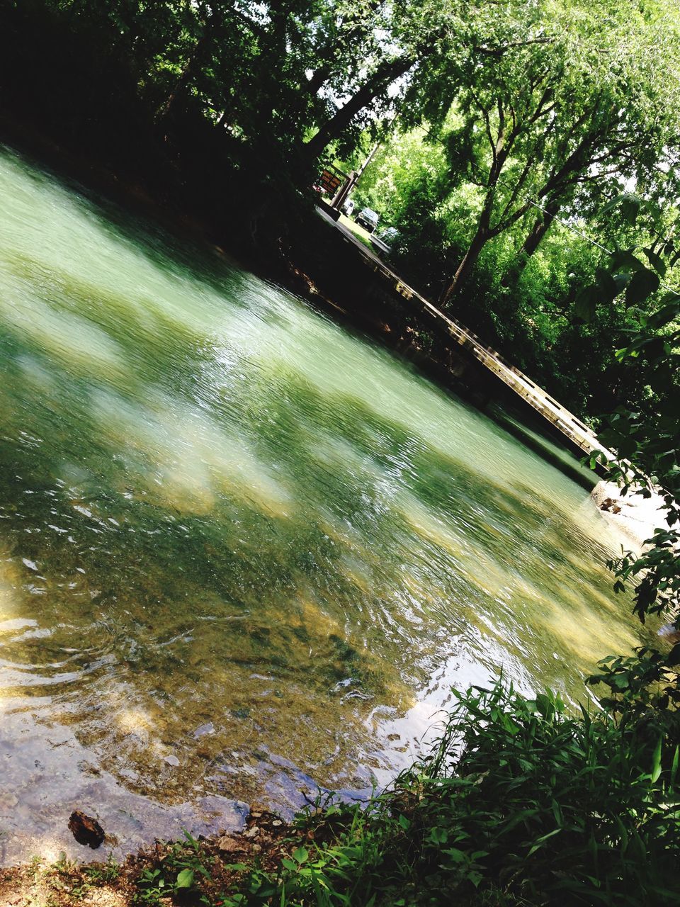 water, tree, river, waterfront, green color, bridge - man made structure, nature, growth, built structure, tranquility, reflection, connection, beauty in nature, architecture, forest, outdoors, sunlight, day, tranquil scene, no people