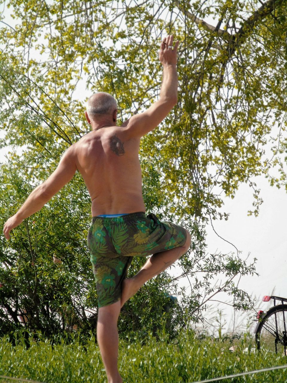 human arm, shirtless, plant, limb, human body part, arms raised, one person, leisure activity, body part, tree, lifestyles, men, day, human limb, nature, rear view, standing, real people, outdoors, shorts, excitement