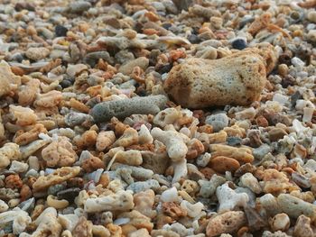 High angle view of stones on beach