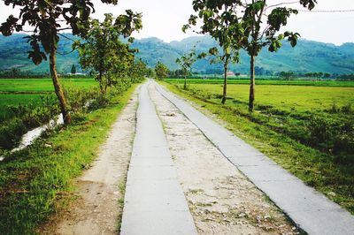 Dirt road amidst field against sky