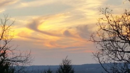 Bare trees against sky during sunset