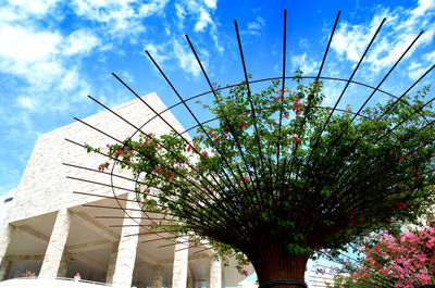 Low angle view of flowers against sky