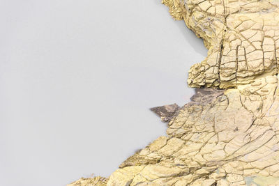 Close-up of rock against clear sky