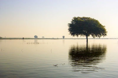 Scenic view of lake against clear sky