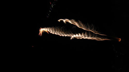 Firework display at night