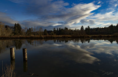 Reflection of trees in lake against sky