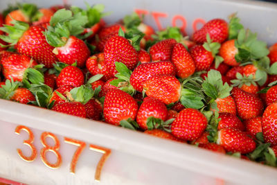 High angle view of strawberries