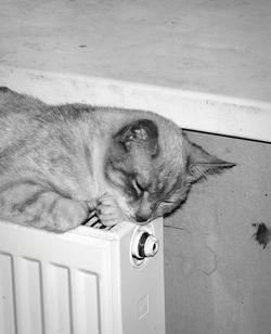 High angle view of cat sleeping on radiator at home