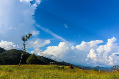 Scenic view of field against sky