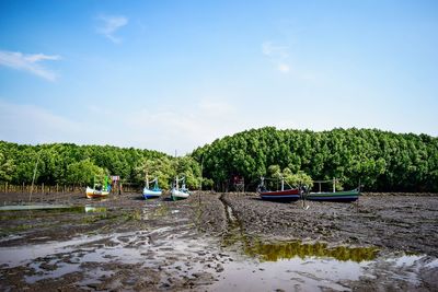 Boats moored on river by trees against sky