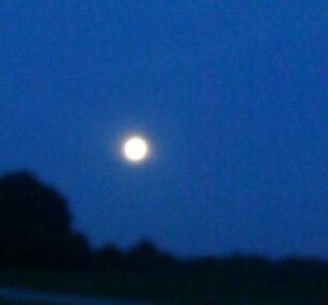 Low angle view of moon against blue sky