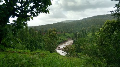 Scenic view of landscape against cloudy sky