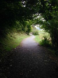 Road passing through forest