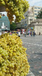 View of fruits and tree in front of building