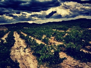 Scenic view of landscape against cloudy sky