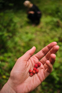 Cropped image of hand holding strawberry against blurred background