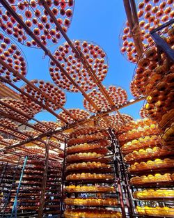 Low angle view of berries on building against clear sky