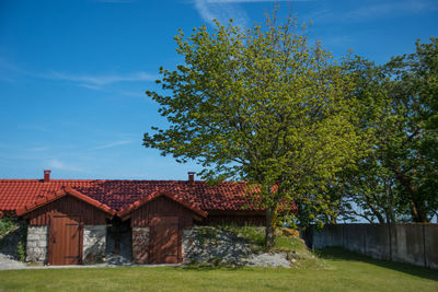 House by trees against blue sky