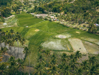 High angle view of landscape