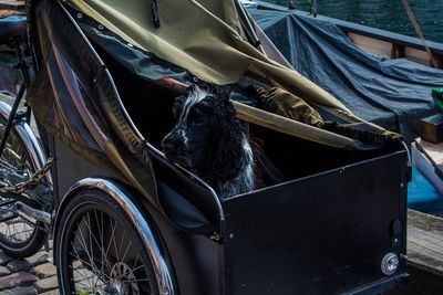 Close-up of horse cart on motorcycle