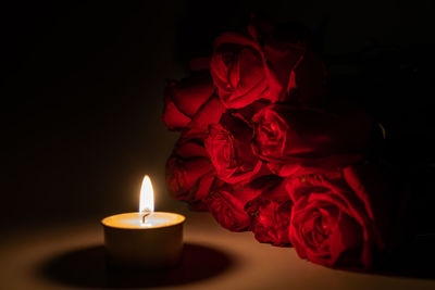 Close-up of red rose in darkroom