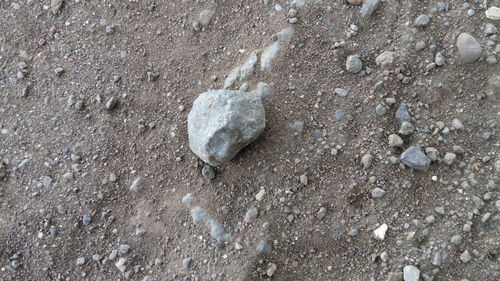 Close-up of sand on beach