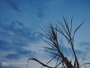 Low angle view of sky