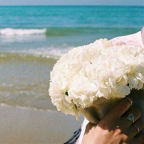 flower, human body part, one person, close-up, outdoors, day, water, nature, beauty in nature, flower head, adult, human hand, freshness, sea, people, adults only, one woman only, only women, sky