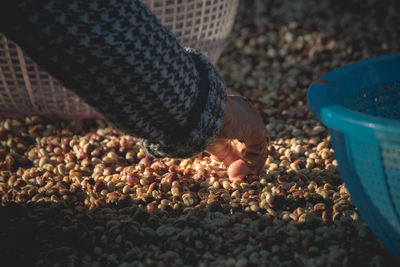 Low section of person on pebbles