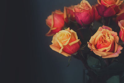 Close-up of rose bouquet against black background