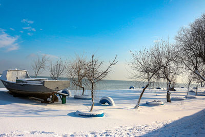 Bare trees on snow covered field against blue sky