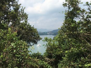 Scenic view of lake in forest against sky