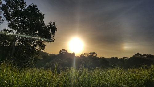 Scenic view of field against sky during sunset