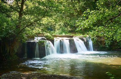 Waterfall in forest