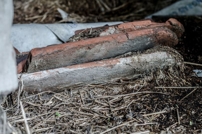 Close-up of old wood