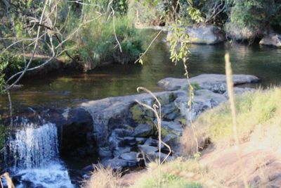 River flowing through rocks in forest