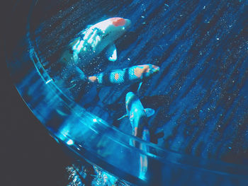 Reflection of man swimming in sea