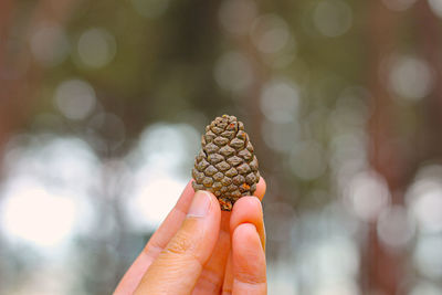 Close-up of hand holding ice cream