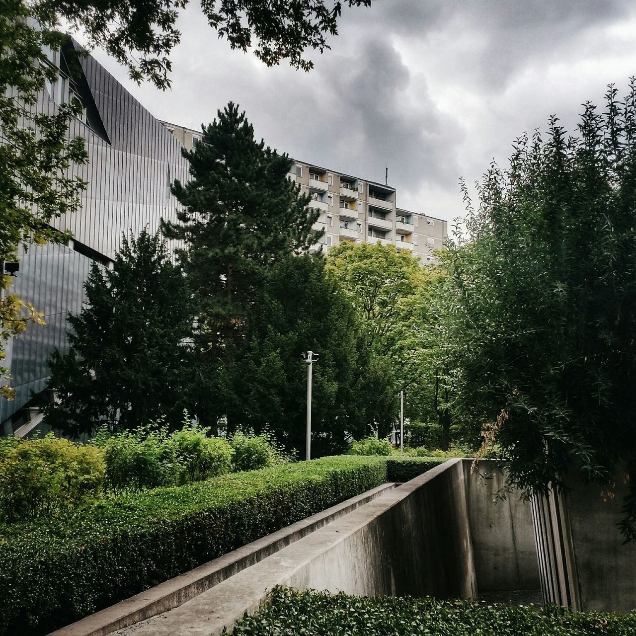 architecture, built structure, tree, building exterior, sky, cloud - sky, growth, green color, railing, the way forward, plant, city, day, cloud, fence, cloudy, outdoors, no people, diminishing perspective, building