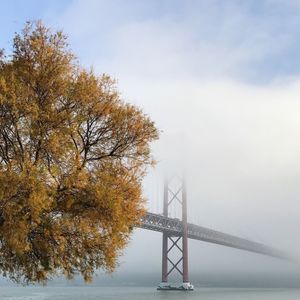 View of bridge in foggy weather