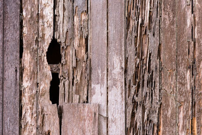 Full frame shot of old wooden door