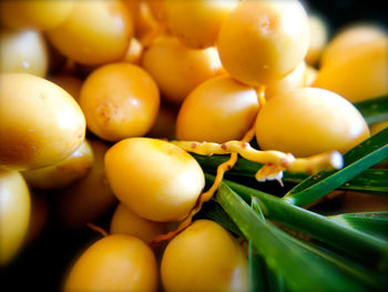 Close-up of oranges