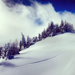 Scenic view of snow covered landscape