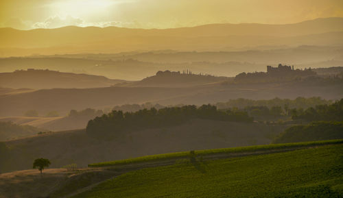 Scenic view of agricultural field against sky during sunset