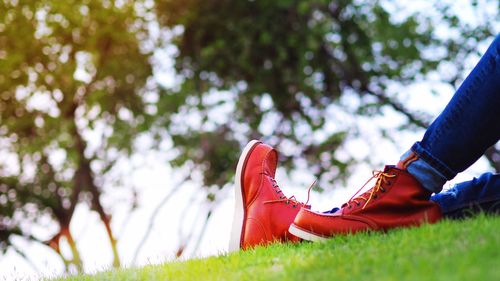 Low section of person wearing shoes on grass