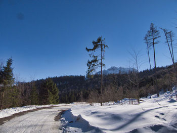 Scenic view of snowcapped field against clear blue sky