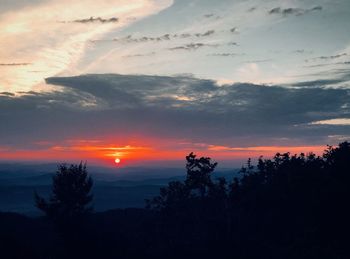 Silhouette trees against sky during sunset