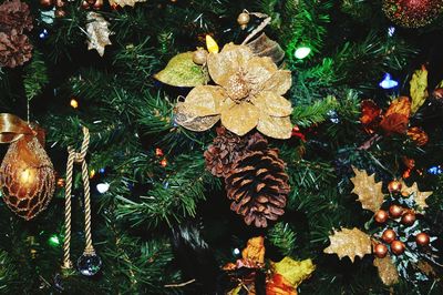 Close-up of christmas tree